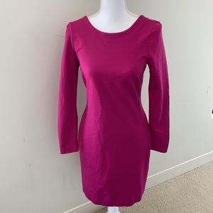 Long Sleeve Banana Republic Dress